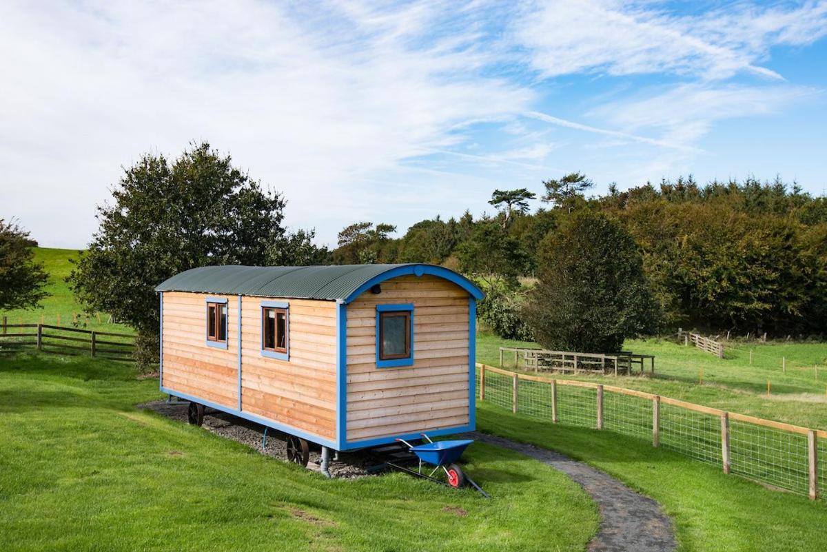 Cow Parsley Shepherd'S Hut 特维德上游的贝里克 外观 照片