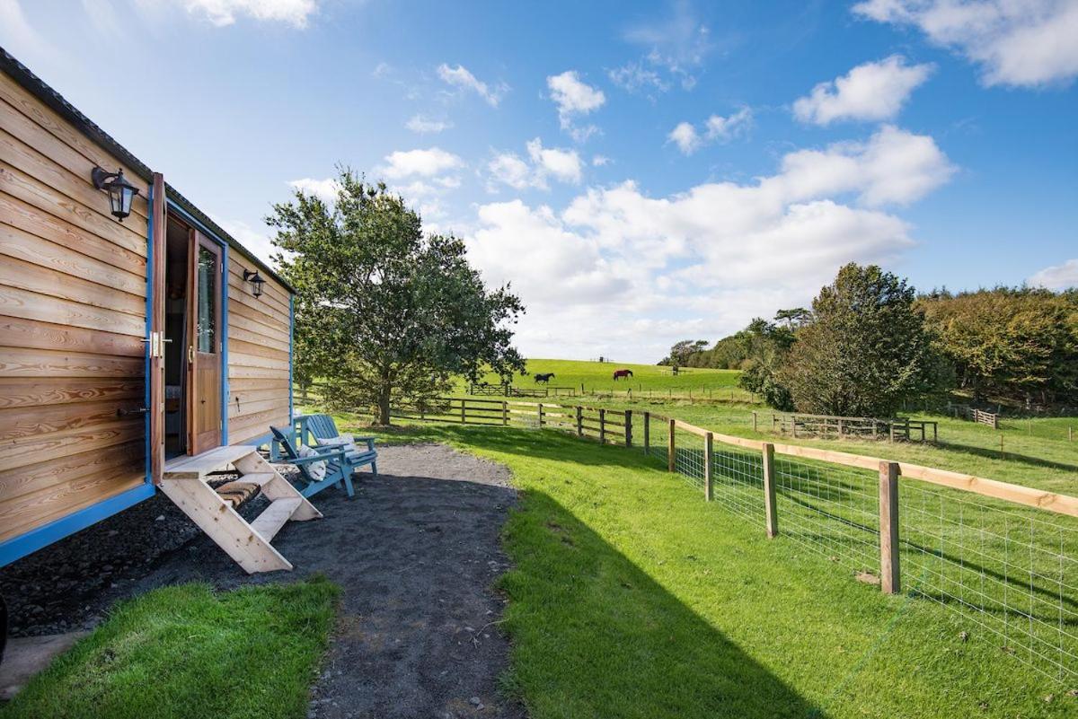 Cow Parsley Shepherd'S Hut 特维德上游的贝里克 外观 照片