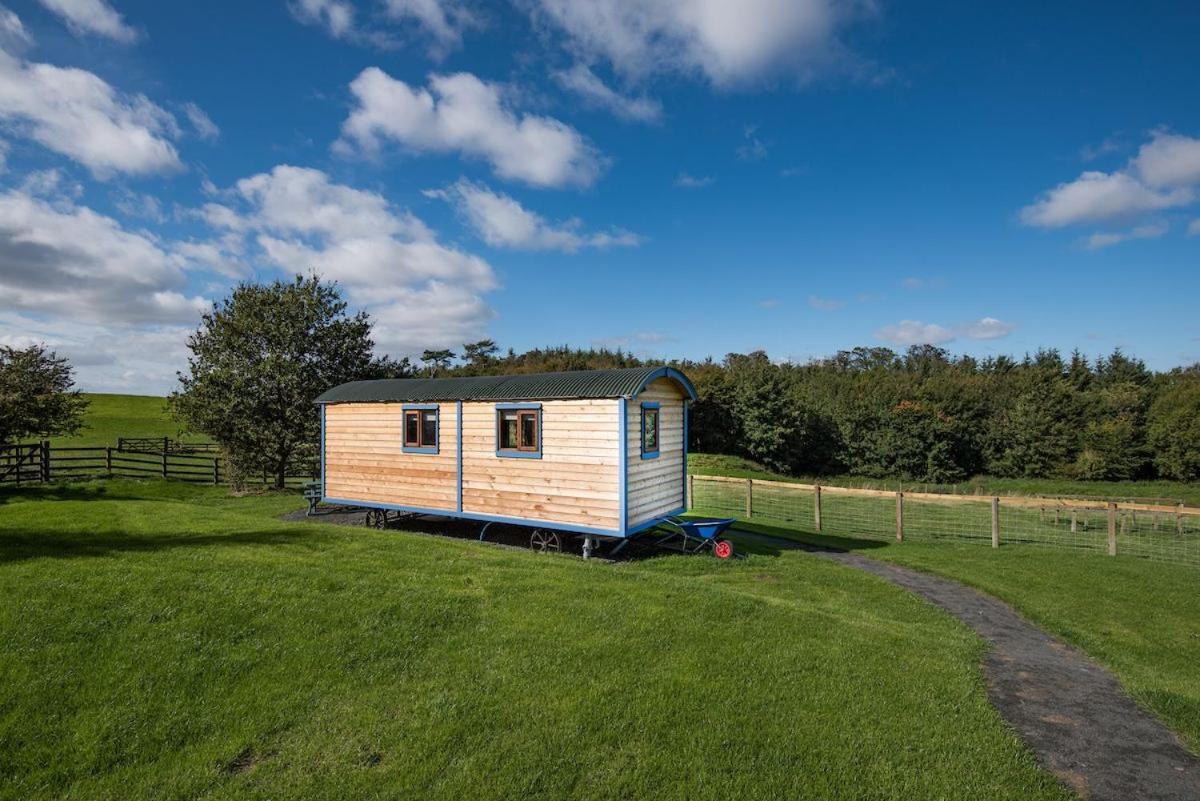 Cow Parsley Shepherd'S Hut 特维德上游的贝里克 外观 照片